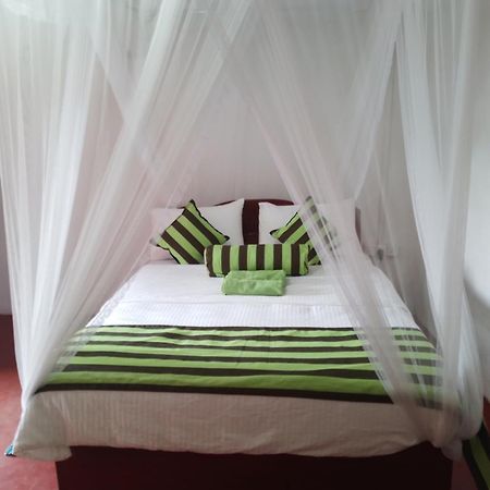 Jungle View Cottage 엘라 외부 사진