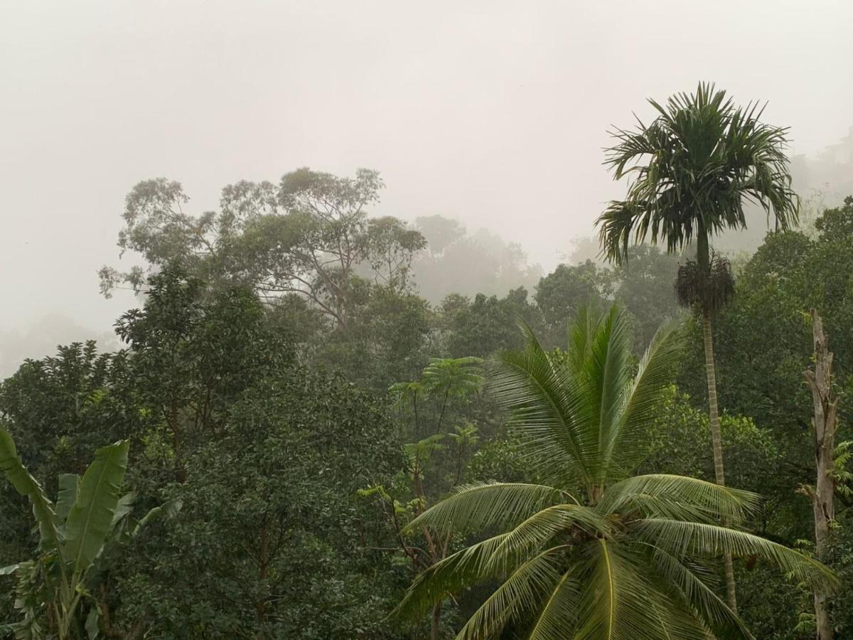 Jungle View Cottage 엘라 외부 사진