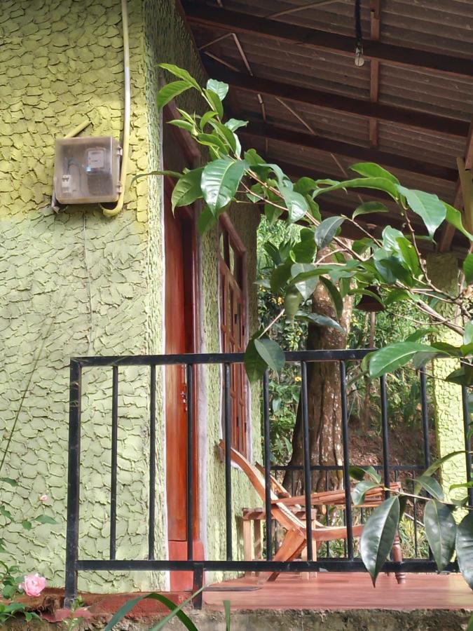 Jungle View Cottage 엘라 외부 사진