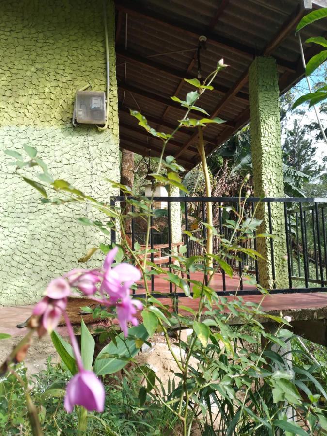 Jungle View Cottage 엘라 외부 사진