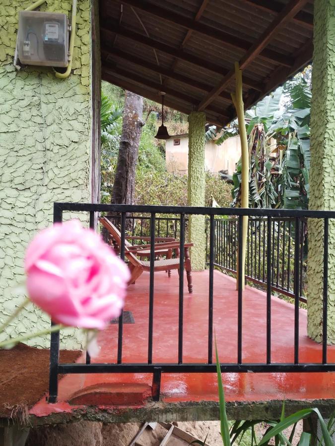 Jungle View Cottage 엘라 외부 사진