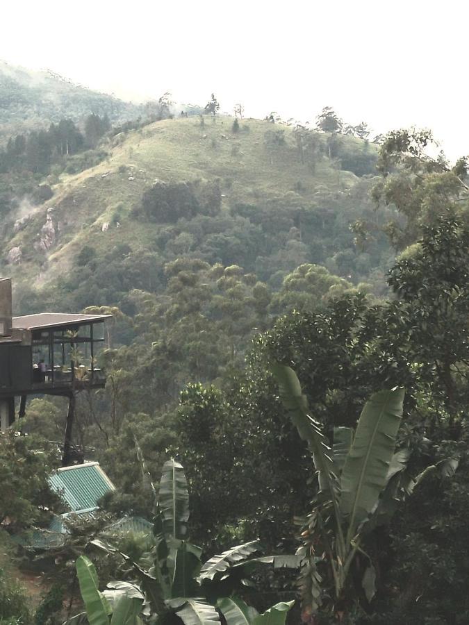 Jungle View Cottage 엘라 외부 사진
