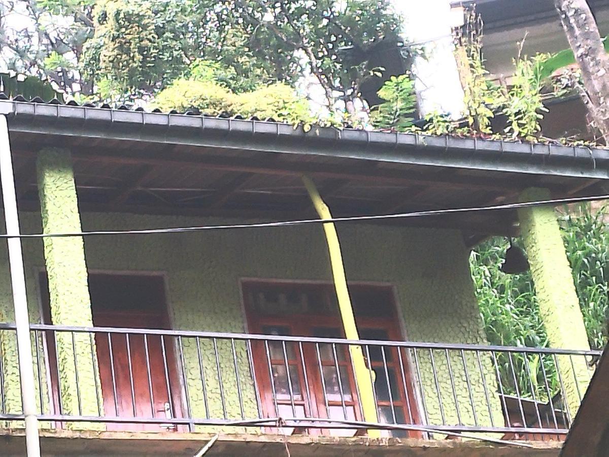 Jungle View Cottage 엘라 외부 사진