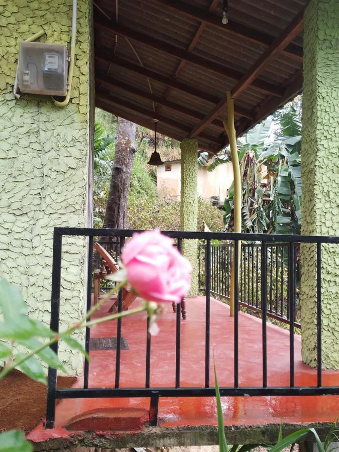 Jungle View Cottage 엘라 외부 사진