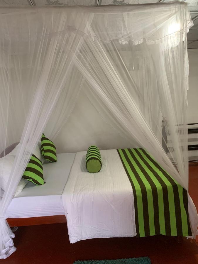 Jungle View Cottage 엘라 외부 사진