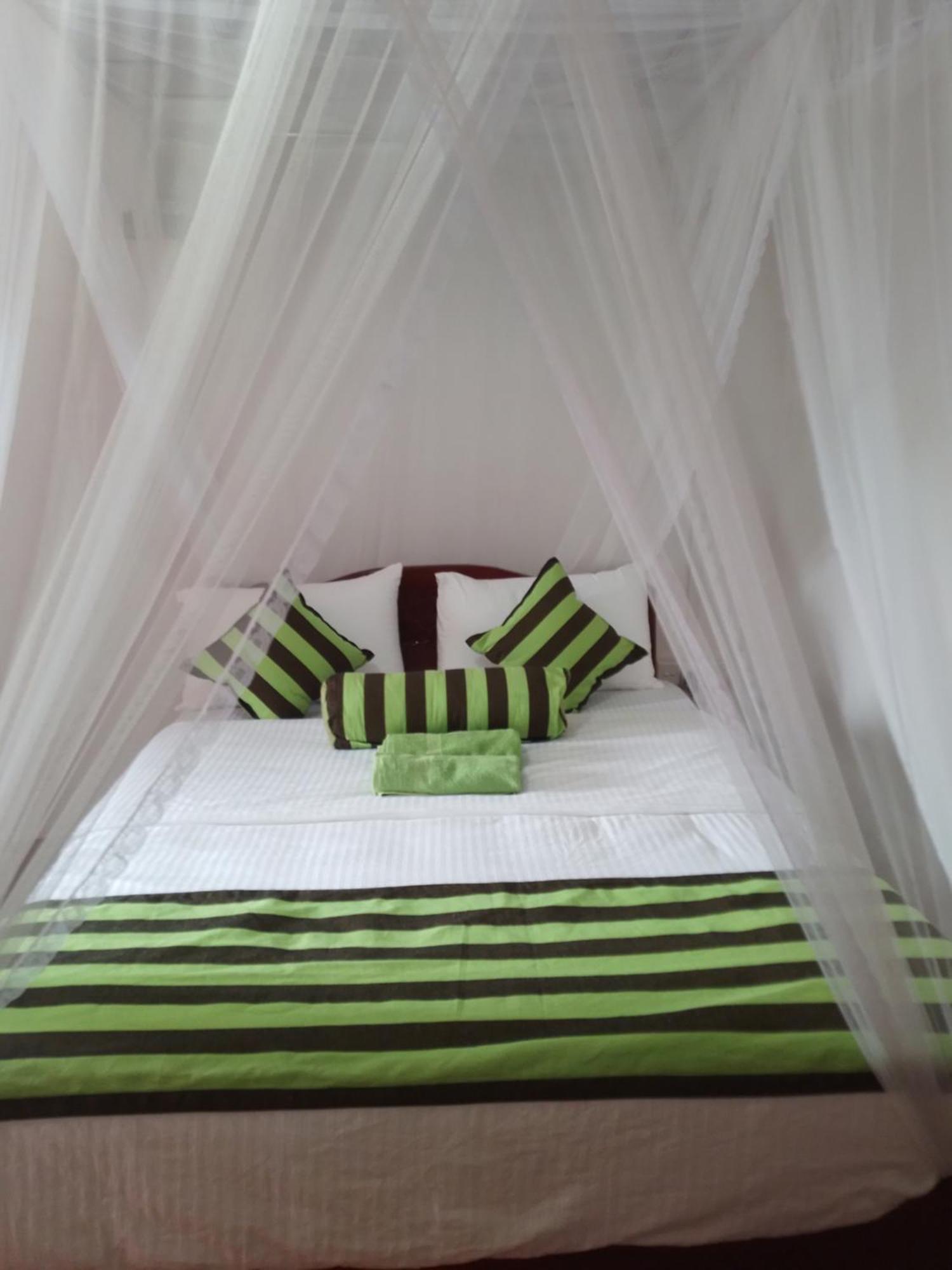 Jungle View Cottage 엘라 외부 사진