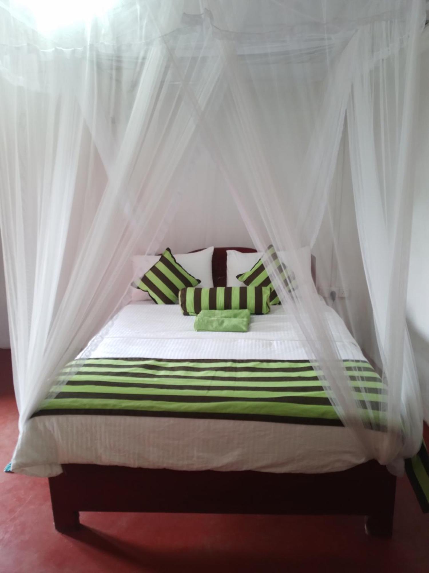 Jungle View Cottage 엘라 외부 사진