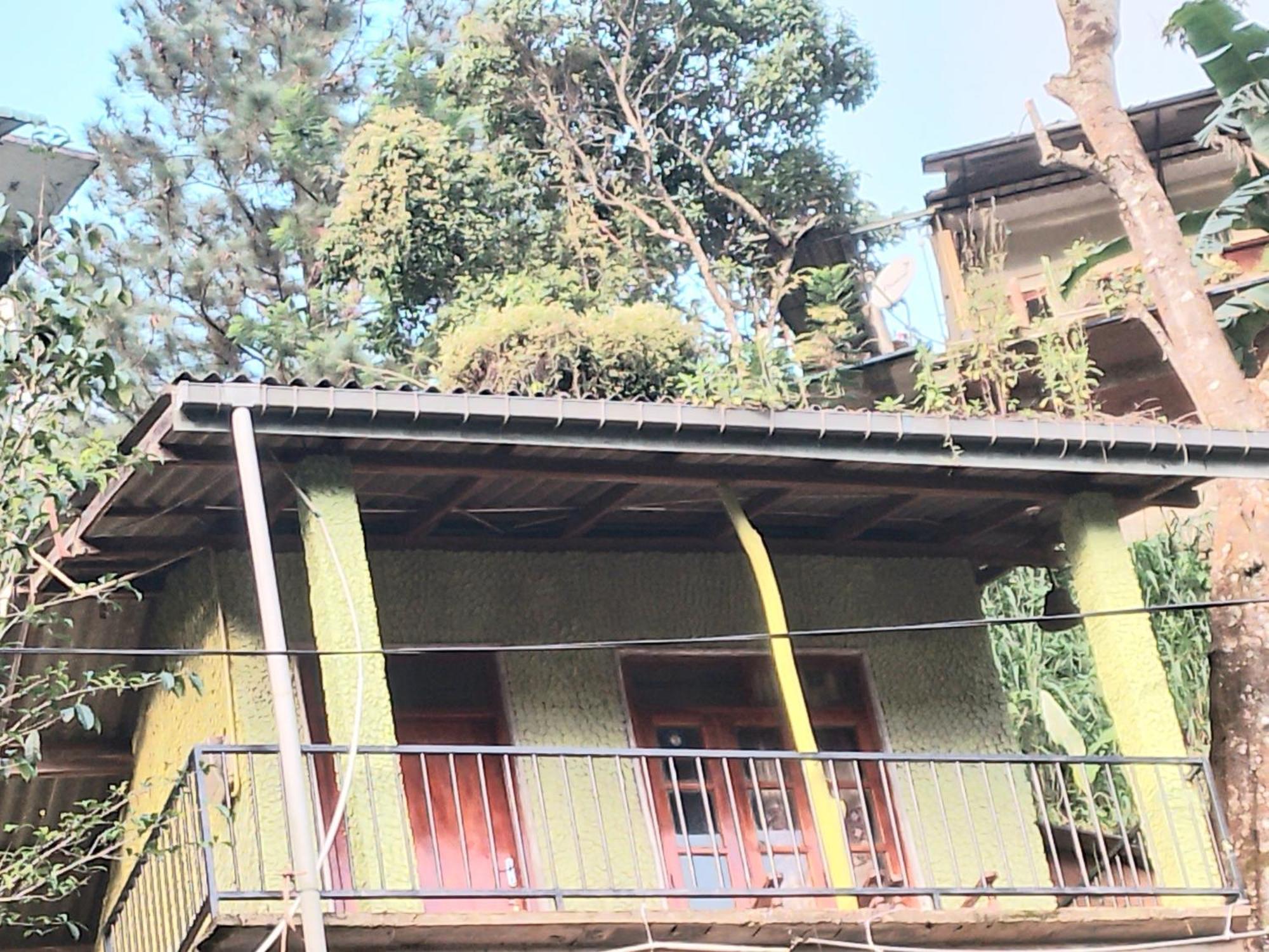 Jungle View Cottage 엘라 외부 사진